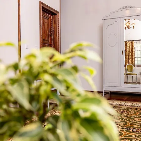Bed & Breakfast Velev House