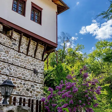 Bed & Breakfast Velev House